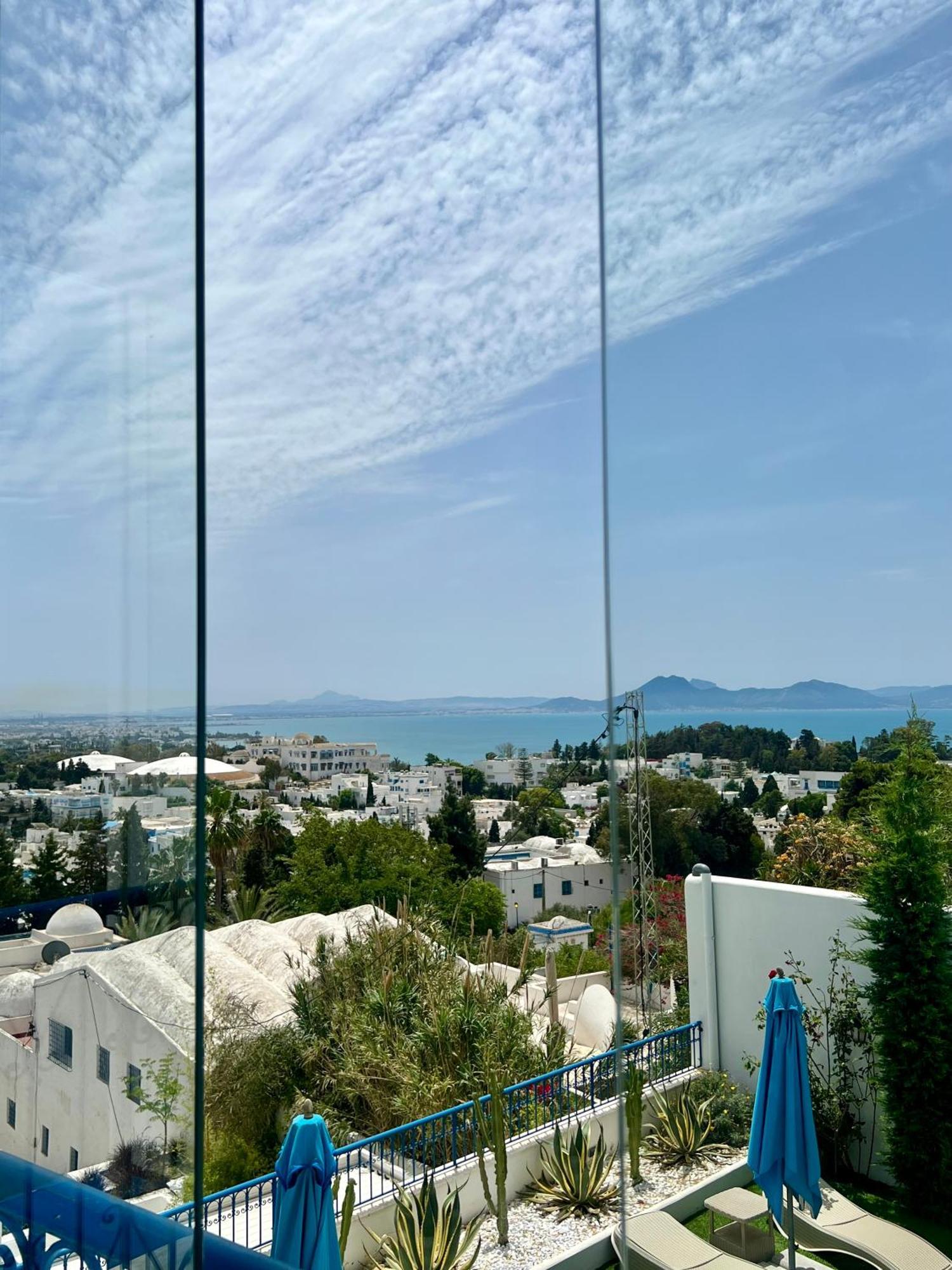 La Menara & Sidi Bou Said